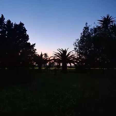 Il Giardino Di Ercole *