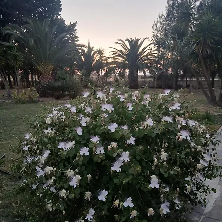 Il Giardino Di Ercole Holiday home Torre San Gennaro