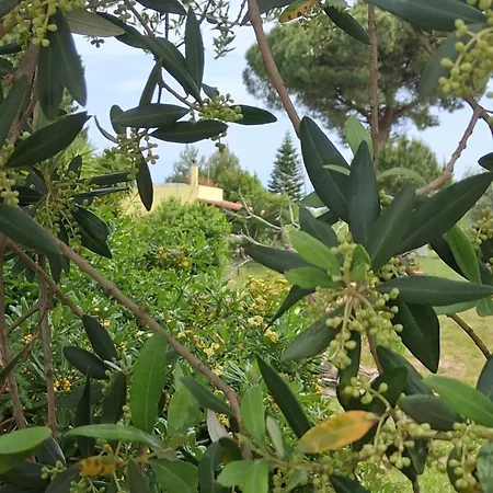Il Giardino Di Ercole