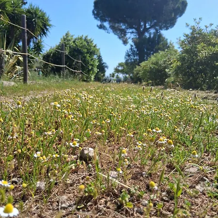 Holiday home Il Giardino Di Ercole Torre San Gennaro