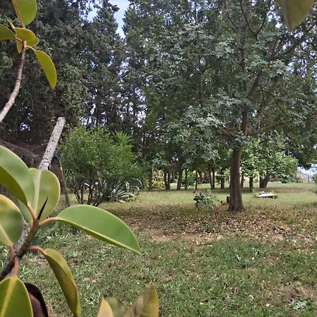 Il Giardino Di Ercole Torre San Gennaro