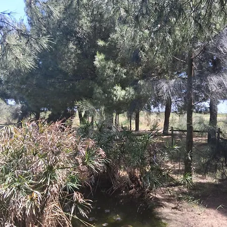 Il Giardino Di Ercole * Torre San Gennaro