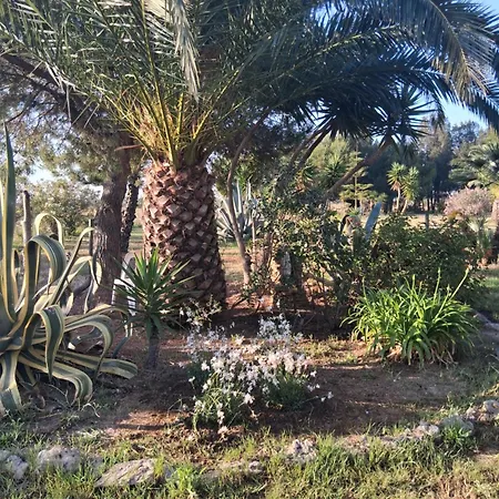 Il Giardino Di Ercole *